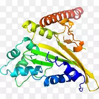 生物线动物剪贴画线-空若网 生物线动物剪贴画线-空若网