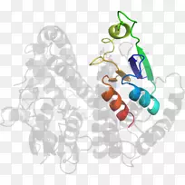 ���������-������