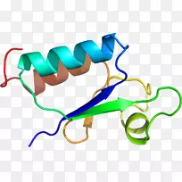 �ߵ������-��-������