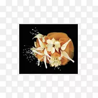 ����ŵ��������л���������-������