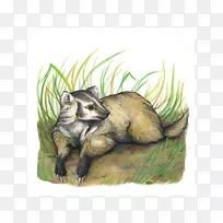 芥菜类动物,有袋野生动物-夏季销售海报-空若网 芥菜类动物,有袋野生动物-夏季销售海报-空若网