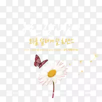 ����ؿ��������ֽ����������.�����ı�-������