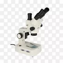 ��΢������������-������