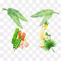 叶花盆水果-海滩-空若网 叶花盆水果-海滩-空若网