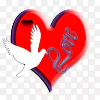 ���ĺ��������-��-������