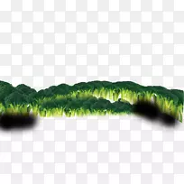 西兰花蔬菜图标-蔬菜西兰花-空若网 西兰花蔬菜图标-蔬菜西兰花-空若网