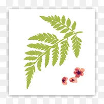 ����ֲ���ʵҶ��ģ��-������