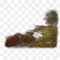 湿地水天空-空若网 湿地水天空-空若网