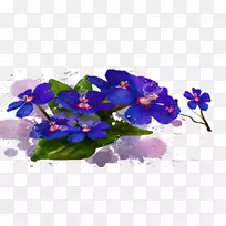 花卉设计蓝色花瓣草本植物-花束-空若网 花卉设计蓝色花瓣草本植物-花束-空若网