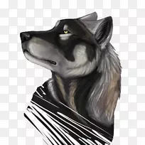 狗须-空若网 狗须-空若网