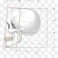 ��ʽ�������-������