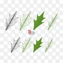 Ҷ��ֲ�ﾥ��-Ҷ-������