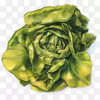 ���������λ�-�߲�-������