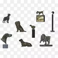 养猫,野生动物,-狗-空若网 养猫,野生动物,-狗-空若网