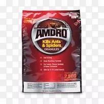 火蚁昆虫-空若网 火蚁昆虫-空若网