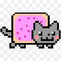 夜猫youtube-cat-空若网 夜猫youtube-cat-空若网