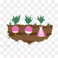 植物-植物-空若网 植物-植物-空若网