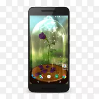 �����ֻ����ܵ绰��ý���������iphone-�����ֻ�-������