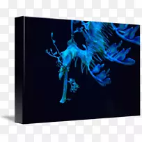 平面设计桌面壁纸计算机有机体计算机-空若网 平面设计桌面壁纸计算机有机体计算机-空若网