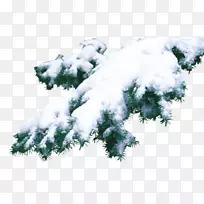 ��ɼ����ɼ��ʥ����-ʥ����-������