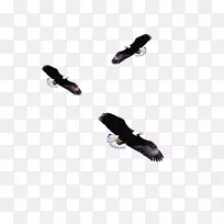 ͺӥ����-������