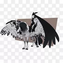 数码艺术绘画-竖琴鹰-空若网 数码艺术绘画-竖琴鹰-空若网