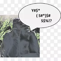 大猩猩野生动物眼鼻子时尚大猩猩-空若网 大猩猩野生动物眼鼻子时尚大猩猩-空若网