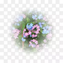 花卉设计-空若网 花卉设计-空若网