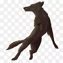 犬种鼻子野生犬-空若网 犬种鼻子野生犬-空若网