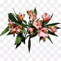 印加百合花设计,切花,花束-亚洲-空若网 印加百合花设计,切花,花束-亚洲-空若网