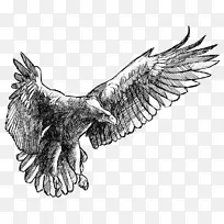 ��ӥ-ӥ���-������