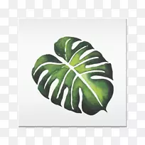 ÇïÒ¶Ë®²Ê»ÇïÒ¶-¿ÕÈôÍø ÇïÒ¶Ë®²Ê»ÇïÒ¶-¿ÕÈôÍø