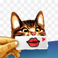 胡须小猫鼻子小猫-空若网 胡须小猫鼻子小猫-空若网