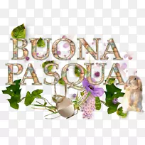 花卉设计草药字体设计-空若网 花卉设计草药字体设计-空若网