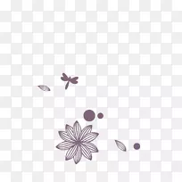 昆虫蜻蜓-蜻蜓-空若网 昆虫蜻蜓-蜻蜓-空若网