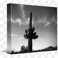 ������Ӱ-������