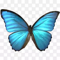 ºûµûÀ¥³æ-¿ÕÈôÍø ºûµûÀ¥³æ-¿ÕÈôÍø