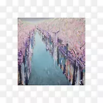 ������-������