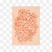 �Ӿ������Գ���ͼ����-������