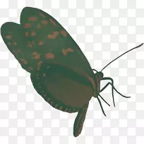 �׳�-ɫ�ʰ�쵵�����-������