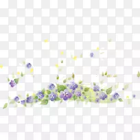 绘画摄影插图.紫色喇叭图-空若网 绘画摄影插图.紫色喇叭图-空若网