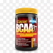 ֧����������ʳ�����-������