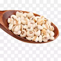 ����������Ϳ��-����������-������