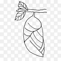 ºûµûÒ¶À¥³æ×ÅÉ«ÊéÓ¼-ºûµû-¿ÕÈôÍø ºûµûÒ¶À¥³æ×ÅÉ«ÊéÓ¼-ºûµû-¿ÕÈôÍø