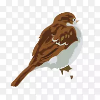 水彩画下载-水彩麻雀-空若网 水彩画下载-水彩麻雀-空若网