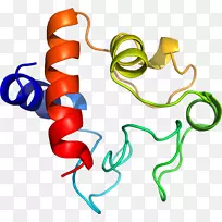 线点体首饰剪贴画.线-空若网 线点体首饰剪贴画.线-空若网