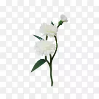 õ����л����ͻ���-����-������