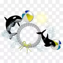 图片帧图中心博客-海豚-空若网 图片帧图中心博客-海豚-空若网