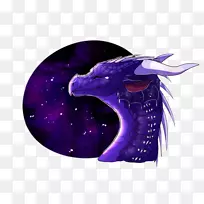 海豚-海豚-空若网 海豚-海豚-空若网