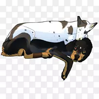 È®ÖÖ-¿ÕÈôÍø È®ÖÖ-¿ÕÈôÍø